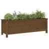 Garden Raised Bed Honey Brown 119.5x40x39 cm - Solid Pine