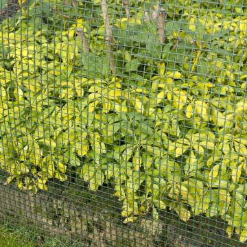 Nature Garden Screen Square Mesh 5x5mm - Green 1x3m | HipoMarket