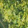 Nature Garden Screen Square Mesh 5x5mm - Green 1x3m | HipoMarket