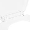 Soft-Close Toilet Seat with Quick-Release Design - White