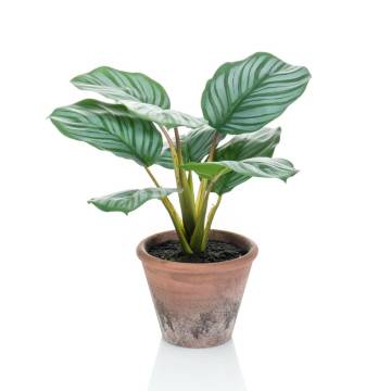 Emerald Artificial Calathea Orbifolia Terra 32 cm - Hipomarket