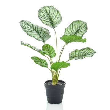 Emerald Artificial Calathea Orbifolia - 45cm Pot | HipoMarket