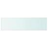 Clear Glass Shelf Panel 110x30 cm - Stylish Display Solution