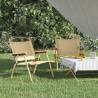 Camping Chairs 2 pcs Beige - Lightweight & Durable | HipoMarket