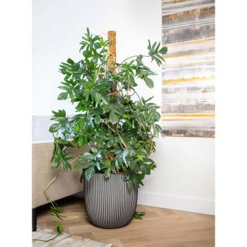 Capi Planter Groove 35x34 cm Anthracite | Eco-Friendly Design