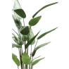 Emerald Artificial Heliconia Plant Green 125 cm - Hipomarket