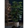 Emerald Artificial Monstera on Pole - 150 cm | Hipomarket