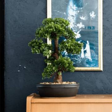 Emerald Artificial Ficus Mini Bonsai - 43 cm | Hipomarket