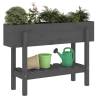 Garden Raised Bed Grey 101x30x69 cm - Solid Pine Wood