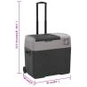 Portable Cool Box with Wheels & Handle - 30L Black & Grey