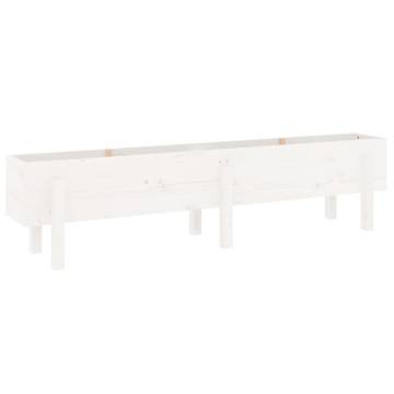 Garden Raised Bed White 160x30x38 cm Solid Pine | Hipo Market