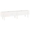 Garden Raised Bed White 160x30x38 cm Solid Pine | Hipo Market