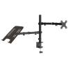 Adjustable Black Steel Monitor Mount | VESA 75/100 mm