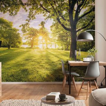 Komar Photo Mural Golden Moment 400x250 cm - Hipomarket