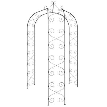 Elegant Black Garden Arch - 180x255 cm Steel Design