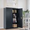 File Cabinet Anthracite 90x40x140 cm Steel Colour anthracite Size 90 x 40 x 140 cm Quantity in Package 1 