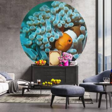 WallArt Wallpaper Circle Nemo the Anemonefish - 190 cm