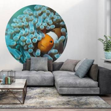 WallArt Wallpaper Circle Nemo the Anemonefish - 190 cm