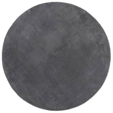 Soft Washable Anthracite Rug HUARTE Ø 80 cm for Cozy Living Space