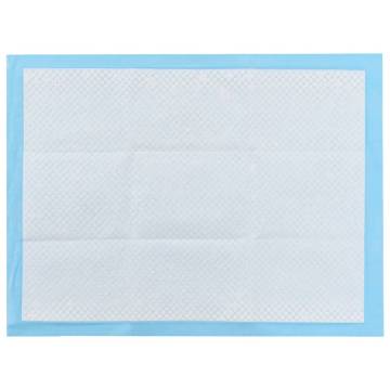 Pet Training Pads 100 pcs - 60x45 cm Non Woven Fabric