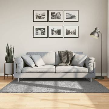 Shaggy Rug PAMPLONA High Pile Grey 120x170 cm - Hipomarket