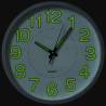 Luminous Wall Clock White 30 cm - Easy Read Timepiece