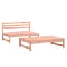 2 Piece Garden Lounge Set - Solid Wood Douglas | Hipo Market