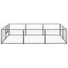 Durable Dog Kennel Black 6 m² Steel - Outdoor Play Paradise