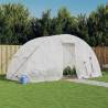 Greenhouse with Steel Frame White 10 m² 5x2x2.3 m Colour white Size 5 x 2 x 2.3 m Quantity in Package 1 