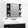 Mirror Cabinet with LED Black 70x16.5x60 cm Colour black Quantity in Package 1 