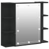 Mirror Cabinet with LED - Black, 70x16.5x60 cm | Hipo Market