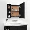 Mirror Cabinet with LED - Black, 70x16.5x60 cm | Hipo Market