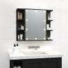 Mirror Cabinet with LED - Black, 70x16.5x60 cm | Hipo Market