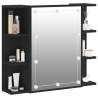 Mirror Cabinet with LED - Black, 70x16.5x60 cm | Hipo Market