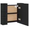 Mirror Cabinet with LED - Black, 70x16.5x60 cm | Hipo Market