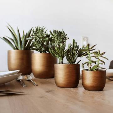 Capi 4 Piece Planter Set - Lux Retro Gold for Urban Decor