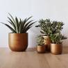 Capi 4 Piece Planter Set - Lux Retro Gold for Urban Decor