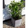 Capi Planter Nature Rib 50x50 cm Anthracite - Eco-Friendly Design