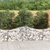 Arched Gabion Baskets 10 pcs 200x50x60/80 cm Galvanised Iron Size 200 x 50 x 60/80 cm Quantity in Package 10 