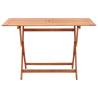 Folding Garden Table 120x70 cm | Solid Eucalyptus Wood