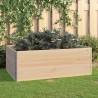 Raised Beds 3 pcs 100x150 cm Solid Pine Wood (310059) Size 100 x 150 cm Quantity in Package 3 