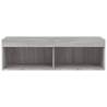 Stylish TV Cabinet with LED Lights - Grey Sonoma 100x30 cm