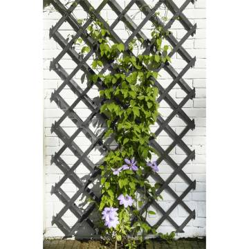 Nature Garden Trellis 50x150 cm | Stylish Plant Support