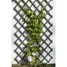 Nature Garden Trellis 50x150 cm Wood Anthracite Colour anthracite Size 50 x 150 cm Quantity in Package 1 