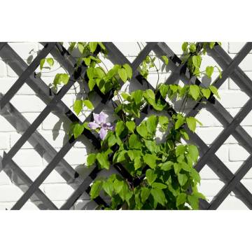 Nature Garden Trellis 50x150 cm | Stylish Plant Support