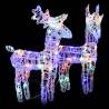 Christmas Reindeers 2 pcs Multicolour 80 LEDs Acrylic Display