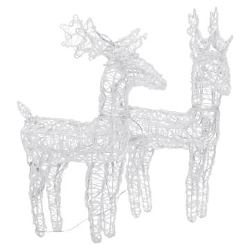 Christmas Reindeers 2 pcs Multicolour 80 LEDs Acrylic Display