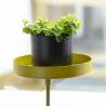 Esschert Design Plant Tray with Clamp - Gold S for Your Home