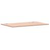 Solid Wood Beech Desk Top - 100x60 cm | Hipo Market