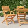 Folding Garden Chairs 2 pcs 55x62x90 cm Solid Wood Teak Quantity in Package 2 Model with armrest 